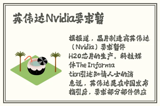 任意槽2024进口官网